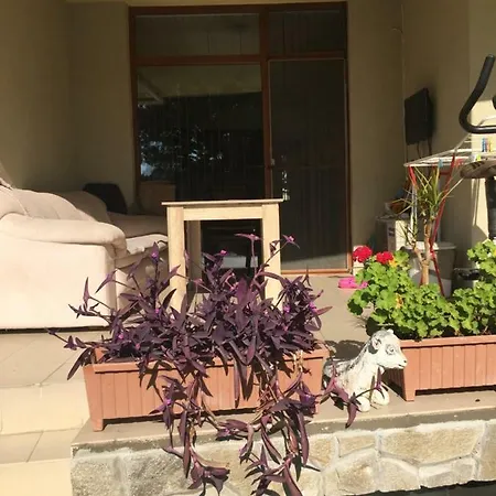 Апартамент Blue Summer Слънчев бряг