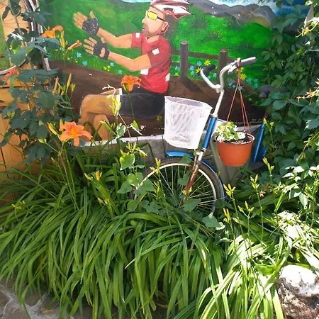 Blue Summer Słoneczny Brzeg