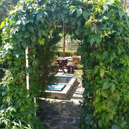 Apartament Blue Summer *